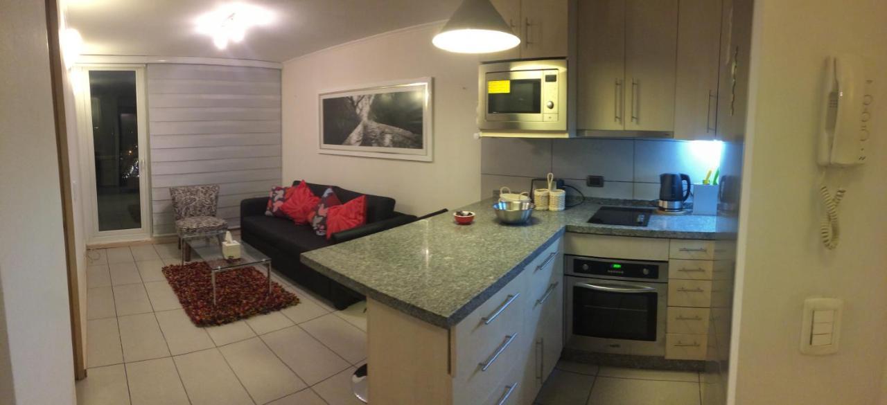 Apartmán Departamento De Lujo 1 En Barrio Bellavista Santiago de Chile Exteriér fotografie